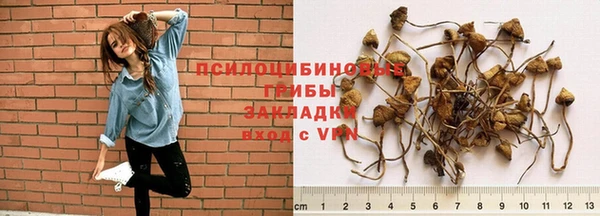 mix Баксан