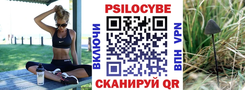 Псилоцибиновые грибы Psilocybe  цены наркотик  Северо-Курильск 